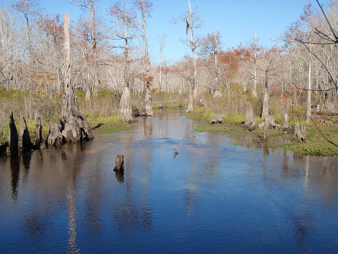 Dead Lakes beautiful blue waters