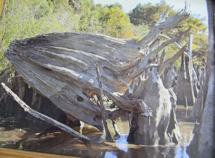 Peaceful RV park setting